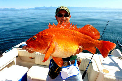 ·Ƽ֮[ֵ4] 淨|Ϻ