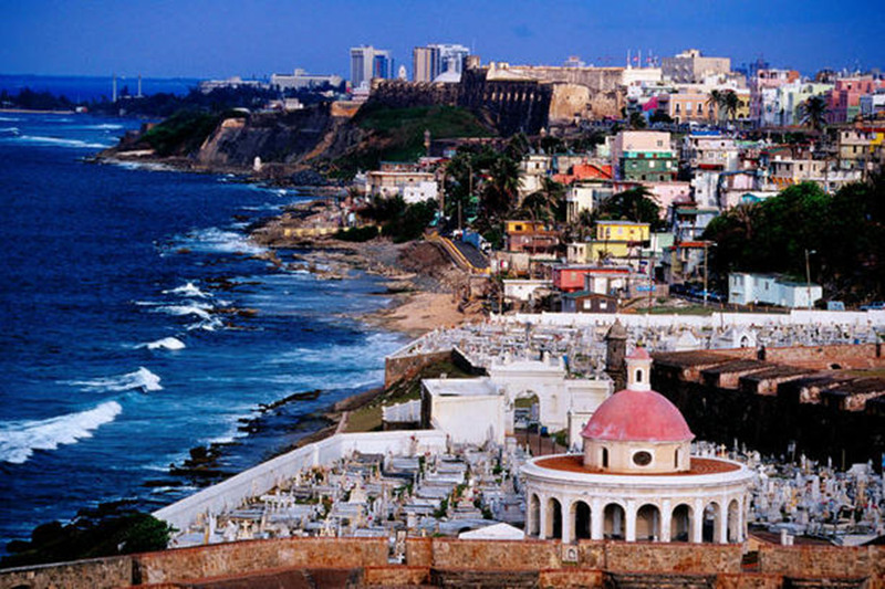 Ƽ淨Ƽ֮[+6] ʥ+ӫ+ȸɭ+|ӫ⺣