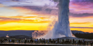 ʯҹ԰·Ƽ֮[ʯ԰10] ʯҹ԰+˹ά˹+Ѩ++Ͽ+ɼѡ | Ȼ֮