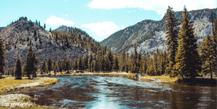 ʯҹ԰·Ƽ֮[ʯ9] ʯ+κ+Ѩ+Ͽ+˹|32ʯ飬ȵȵûʯľ