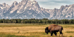 ʯҹ԰·Ƽ֮[ʯ7] ɼ+˹ά˹+Ѩ++ʯҹ԰+ٹҹ԰+κ/ȵȵСľ | ȻΨ