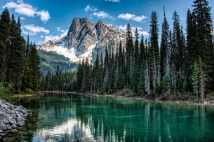 ɼ·Ƽ֮[˫3] ʮ+ɽɽ+ʤ|