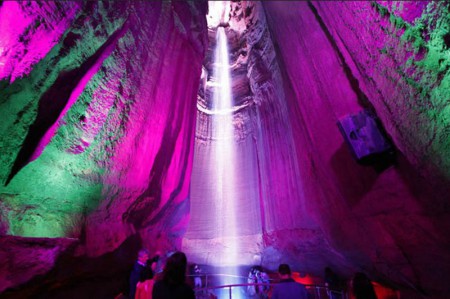 [����������Ȼ̽��֮��5����-����] ŦԼ+���˶�+�챦ʯ�ٲ�+�����ֱ�+��ʢ��+�׹�|˽�Ұ���