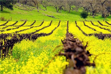 ҹ԰·: 5Ρɼӻ+˹ά˹+ҹ԰+˹Ͽȹҹ԰+Ѩ 5