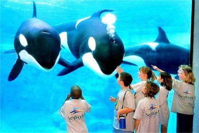 Сʾ·: [8] ԰+&Ϻ̲̺죬⹫԰ѡ|Ȥζ԰˷