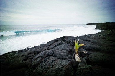 ٲ·: [Ĵһ] ٲ+ҽ԰+ˮȪ|׳ٲȺ