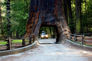 鱤ľ԰·: [5] +ɽɽ+ɽҹ԰++ | ʵ ֮