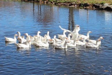 籩֮԰·: [ŦԼܱ1]̬ũũ֣籩֮ĵչ|̬Ļ֮