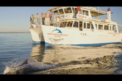 Ϥ·: Ϥά˹ɳ̲һ|۾+ɳ̲