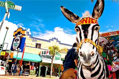 繰·: [14] ɼ+˹ά˹+ʯ԰+ͳʯ+Ѩ+ī|