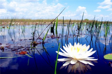 ·: [+͹ɧ֮] ܱȥ㣺ҹ԰+̲++޵ᷱ͹׶ɧ