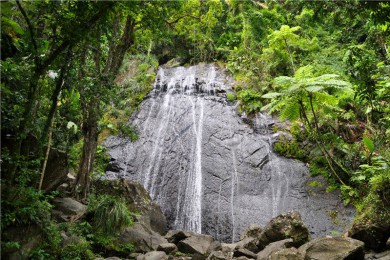 ʥϳ·: [+6] ʥ+ӫ+ȸɭ+|ӫ⺣