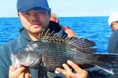 ·: [Ȥ1] ̫ƽδĳУ飬ֵ