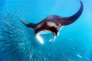 ·: [Ů˵1] Ǳ+Լݸ߶򳵻| εձȺ