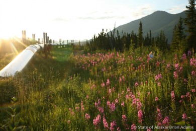 Ͽ·: ˹ļ4 | ˹ һ ѡ|Խ