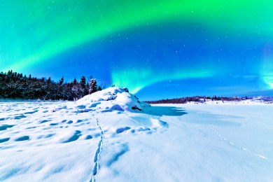 ˹ӱȦ·: [ط6] Ѷ˹++γ66պӼӪ+Ȫ+4μ۲حס