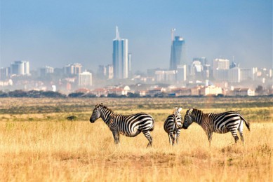 ·: [Ȼ8]ޱ+++̩/ɳ+ | 磬޷飬̽Ѱһ