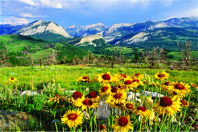 ܽҹ԰·: [ôɽ6]¸绪ӻ+ܽҹ԰+ױǱ+¡+¸绪УסһܽСƵ꣩