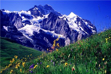 ·: [ŷ4]++˹ɽ+ʿ++ϼĽС|Խ֮