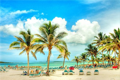 뽸·: [10] ޵ᷱ++Ϻ̲++ѡһ+4 |  Ʒʳ