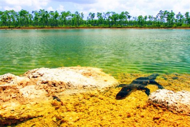 ָˮ԰·: 9Ρ԰ѡ+ɳ̲+ʢ֣֮+ȫ