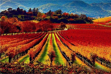 ˹·: [13] ɼ++ͼ+ɽɽ+17|۾󣬾Ŵгѡ