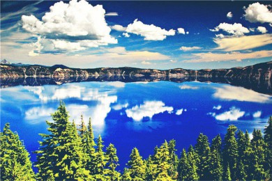 ɭɽҹ԰·: [3] ɭɽ԰+ʯ+ľ+ľ+չţСס|ط鱱