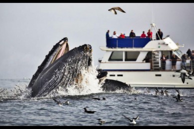 Ŧ·: [ݵص2]۾+˽ͧ+Ϻ㳡VIPح˽Ұ