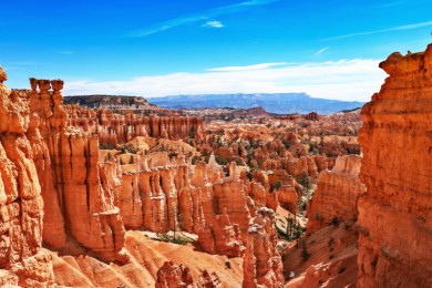 ˹ŵ·: [ҹ԰޻11]ɽɽ+ʤ+Ͽ+˹Ͽ+Ѩ+˹ά˹+ɼ+ľҹ԰