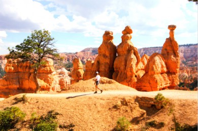 Ѿׯ·: ȾɽɽϿ7Ρ˹ά˹+ҹ԰+˹Ͽȹҹ԰+Ѩ+ɽɽ