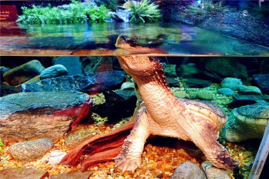 ʢӣ·: [Ʈ3] ʿ+ʢ+ľ԰+׹+ֿϼ+ˮ|ӣ֮