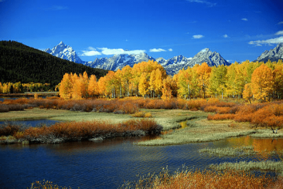 ../static/picture/detail_23_66c05724005b61.png
