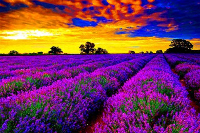 ˹·: [˹޹²6֮]˹+ﰺ+++ķ+ ά̣˸