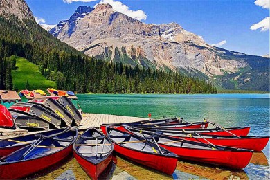 ·: [ôɽҹ԰3]++ҹ԰+¶˿+򿨺+ʯϿ+³|ͶѨʷżƱͻ