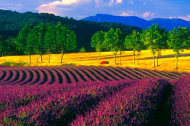 ޹²·: [޹²ũ1] ũժ+Ѭ²ũ+˹