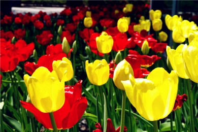 ·: [ܰ1] ¶+ʢٹ԰+|ĸ׽֮