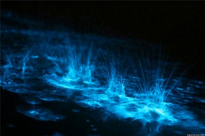 ../static/picture/detail_24_14768276832.jpg