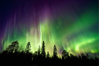 ../static/picture/detail_24_5d715a8556b571.jpg