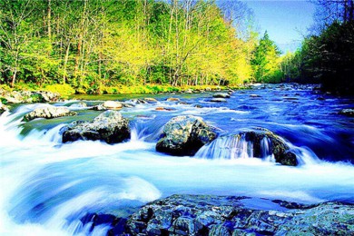 º·: [ͼ4]˾ŵٲ+¹+ƥ˹ҹ԰+ɽҹ԰