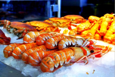 ˹½·: ŷϿ4Ρ ˹¸Ħ++˹½+ӵ+չĬ|ŷ֮