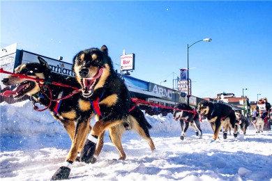 ڱ·: [9] ˹ļסҹ԰Ƶ꣬񷶥۹𳵣һ|̽˽