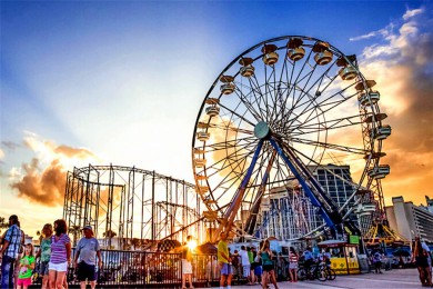 ʿ԰·: [8] ͯʿ԰ʥ壬īС򣬰԰ѡ|֮