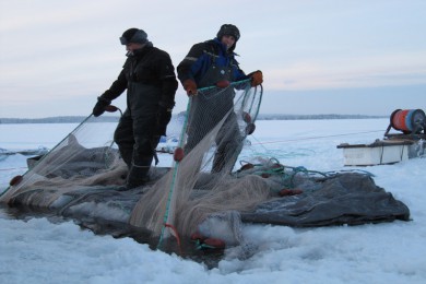 Ƶ·: [ʼ4] ͱ+ԭס+γ60֤ | ׷Ѱ Ҹ֮