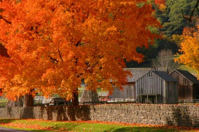 ˹·: [1] ŦԼ+Ű++ũ|Գʥ֮