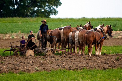 ·: 2ӡ+ʲũׯ+ʱɿ+ʱ԰ 