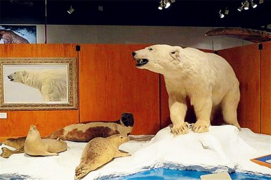 ˹ӹѩ·: [˹Ҹ7]Ѷ˹׷Ѱ㼣Ϻѩ֮|ֵػ