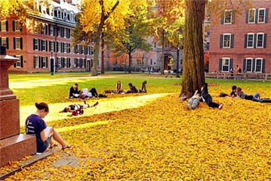 ʲڶ԰·: [1] Ү³ѧ+ʲڶ԰+˿|ݷҶ֮