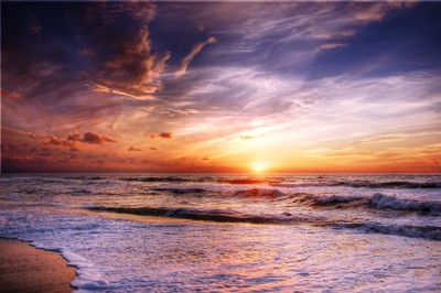 ../static/picture/detail_29_5d4cd856d35181.jpg