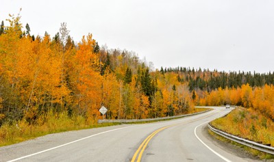../static/picture/detail_29_5d5214c6c3ef51.jpg