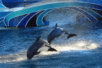 ·: [ɼ3] Ӱ+ʥǸ纣+ɼ|ѡ֮